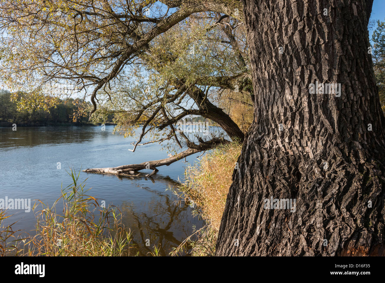 Around river Bug, Eastern Poland Stock Photo - Alamy