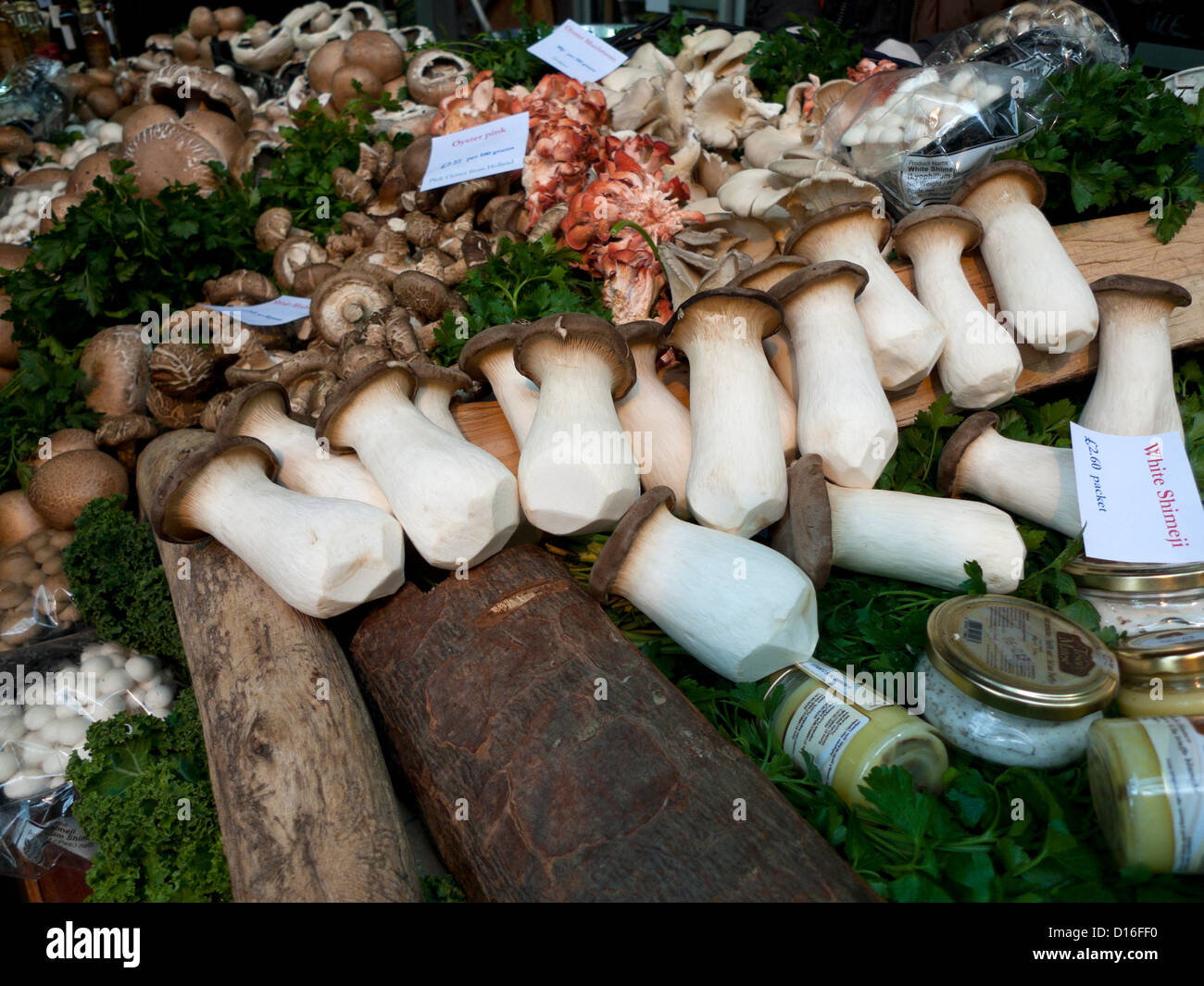 Fresh Japanese mushrooms for sale on a stall at Borough Market, London Bridge, London, England, UK  KATHY DEWITT Stock Photo