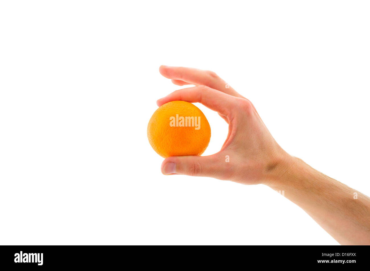 orange in hand on white background Stock Photo