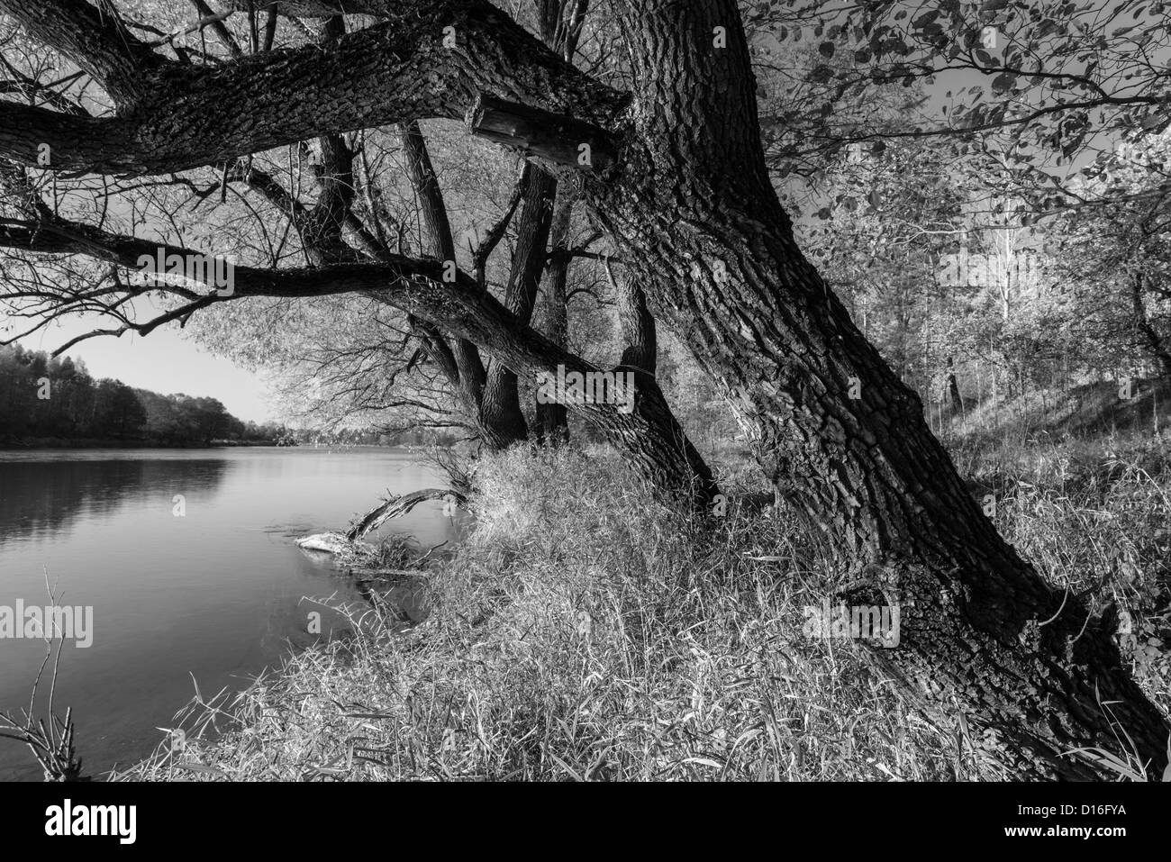 Around river Bug, Eastern Poland Stock Photo - Alamy