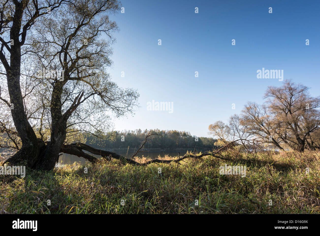 Around river Bug, Eastern Poland Stock Photo - Alamy