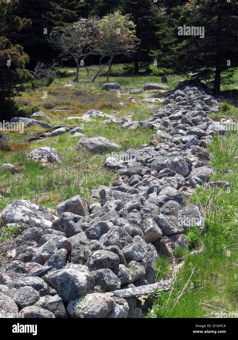 Baker Island, Acadia National Park Stock Photo Alamy