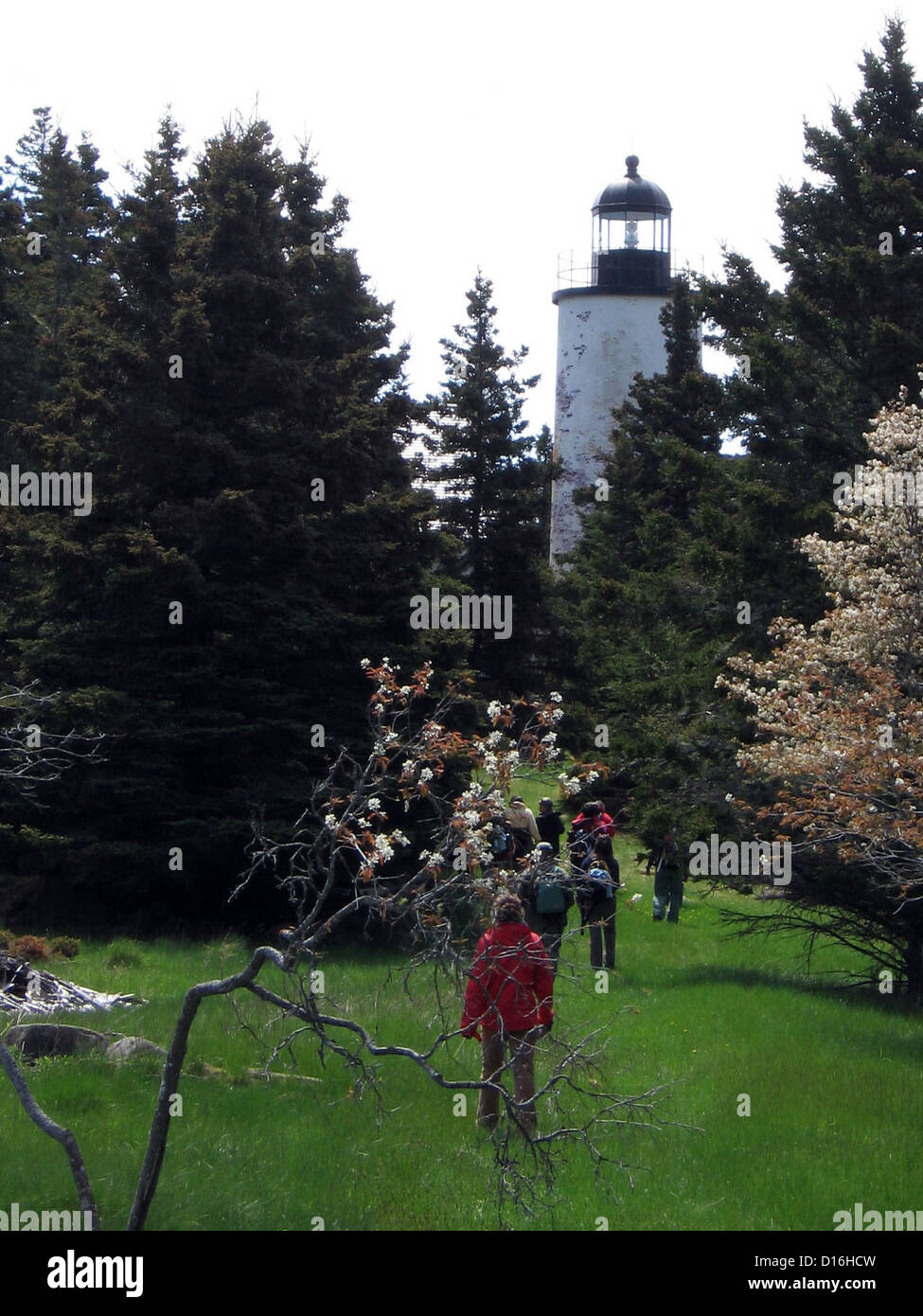 Baker Island, Acadia National Park Stock Photo Alamy