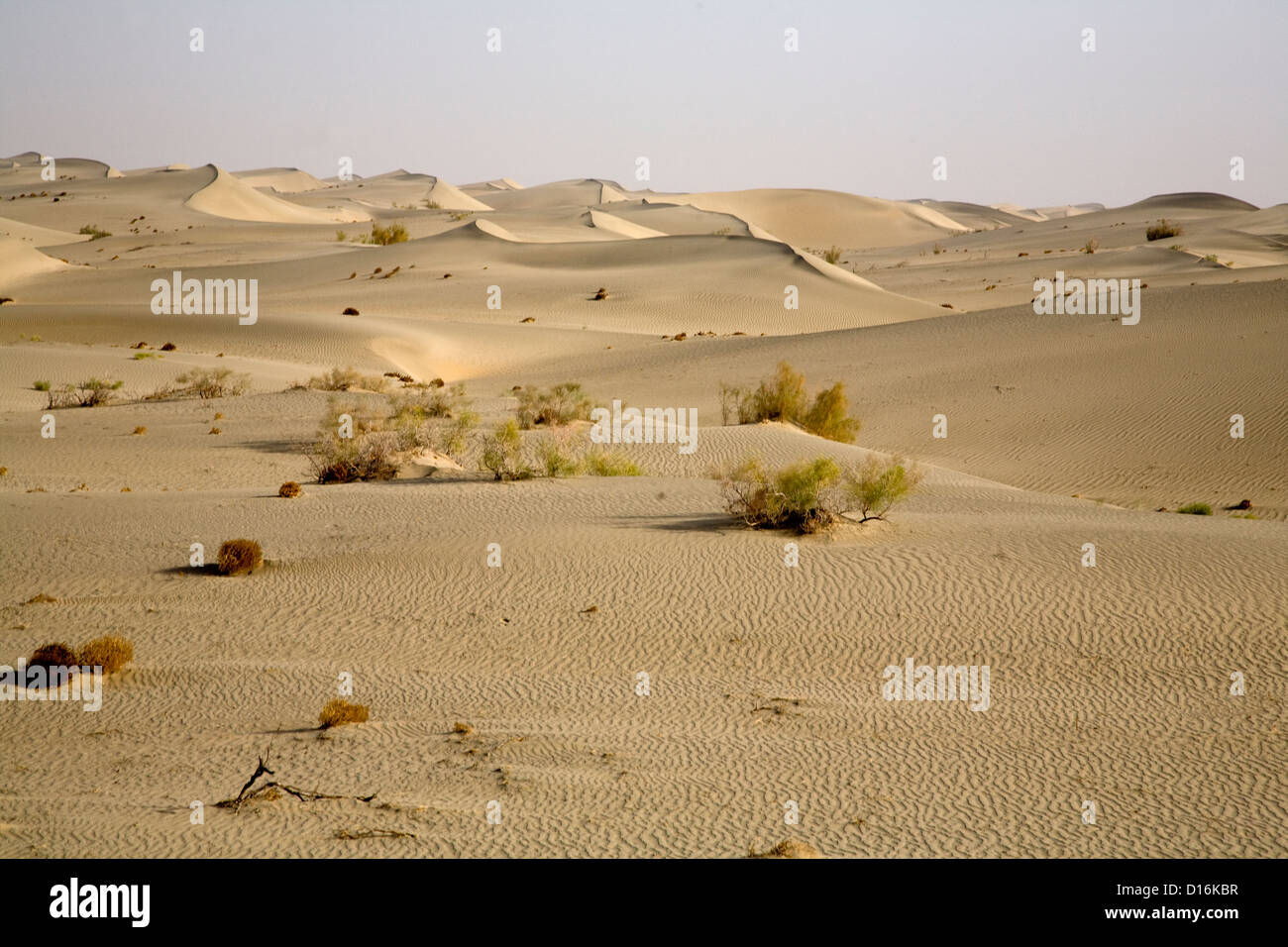 Taklamakan Desert High Resolution Stock Photography And Images Alamy