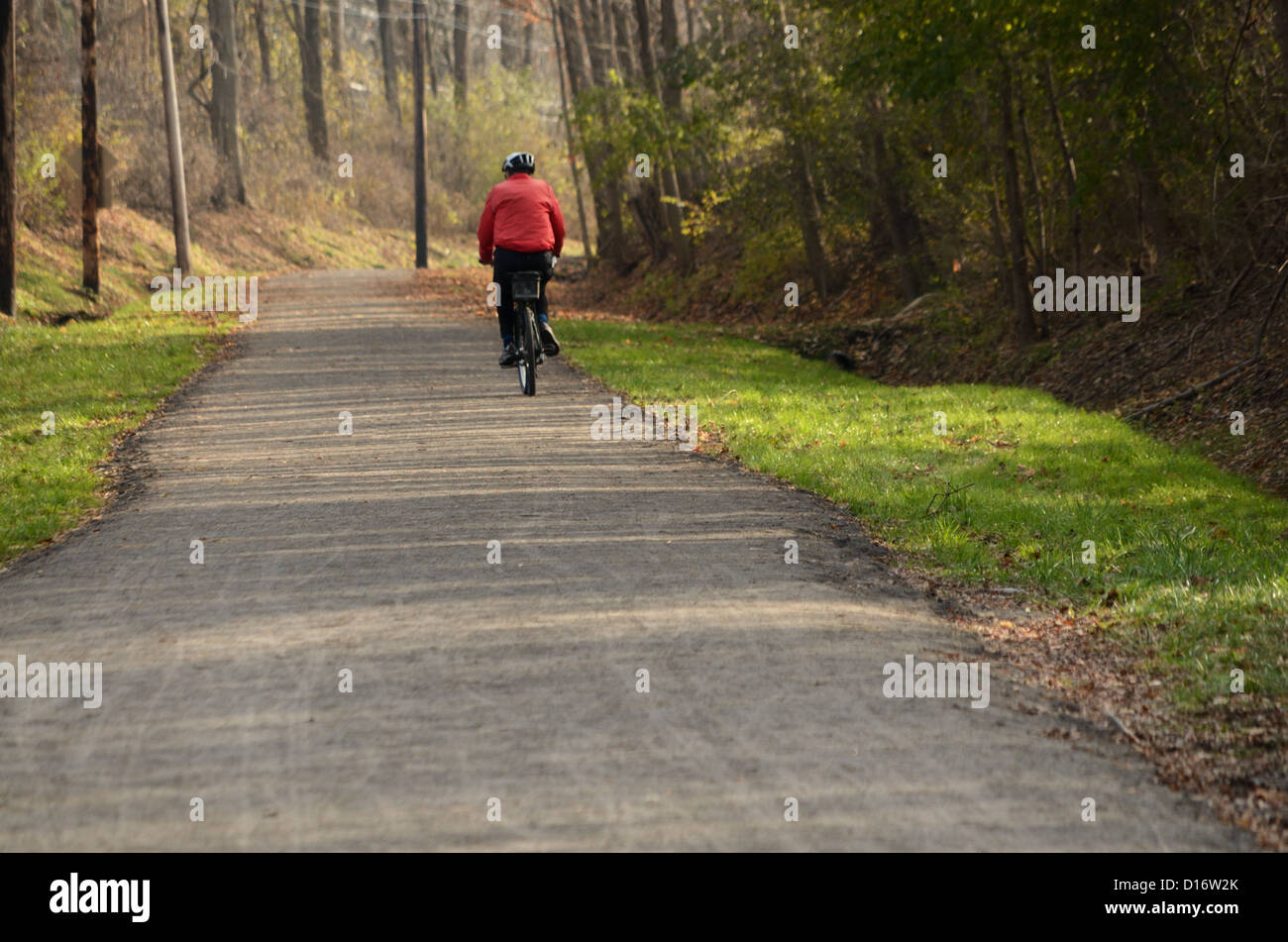 Man rides bike along path in wood lands Stock Photo - Alamy
