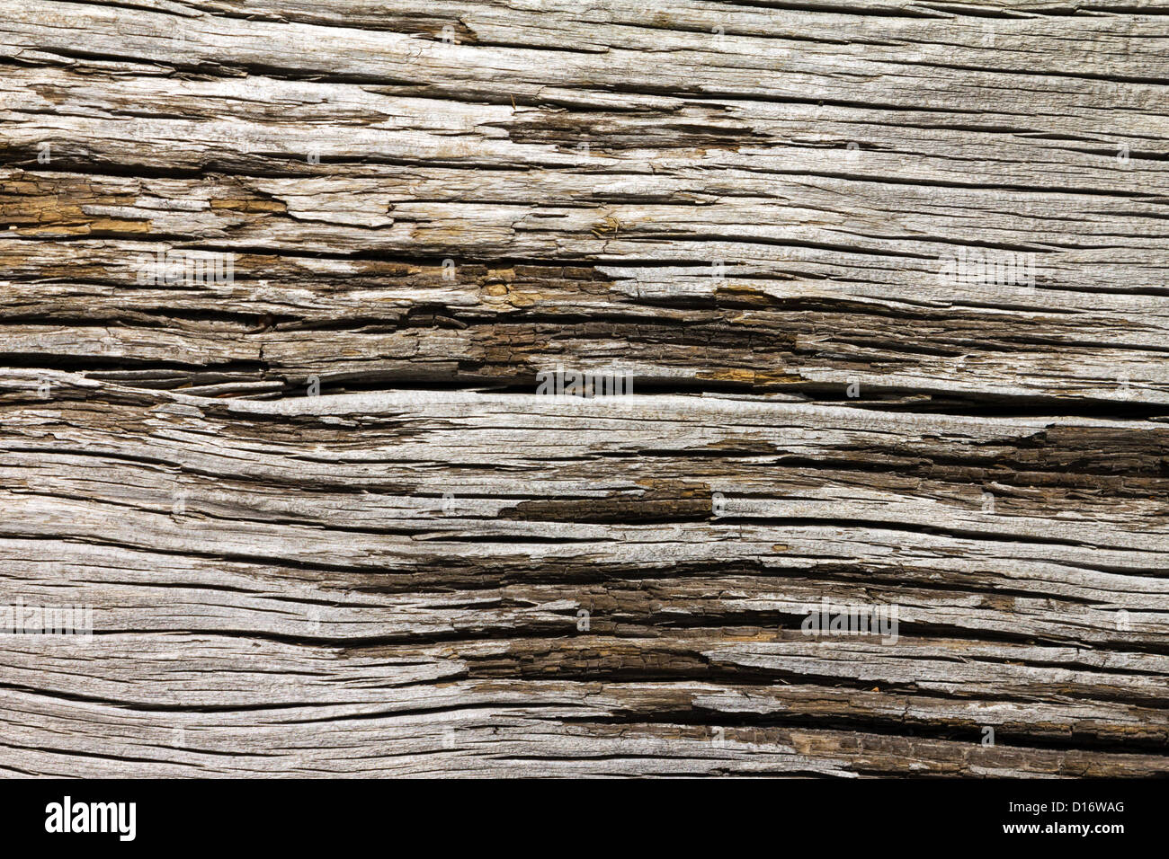 Decaying Wooden Old Textured Background Stock Photo