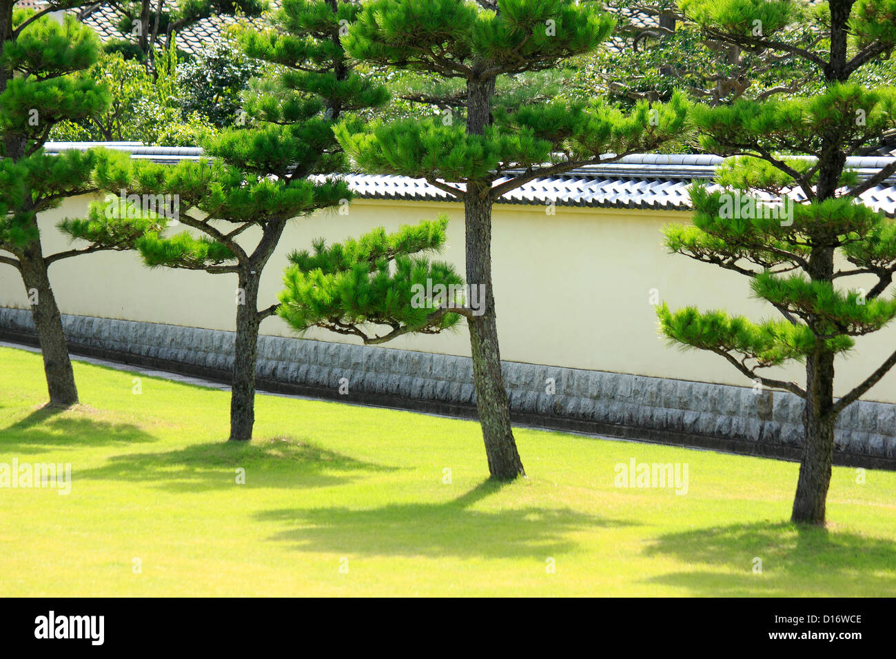 Garden with pine trees and Japanese traditional roofed stone wall, Nara Prefecture Stock Photo