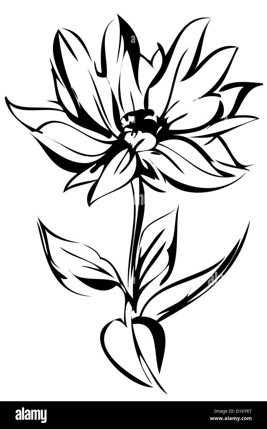 a sketch of blossoming out flower on a stem Stock Photo