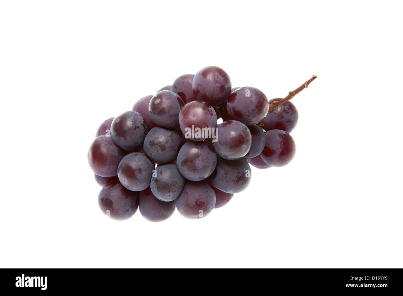 Grape against white background Stock Photo