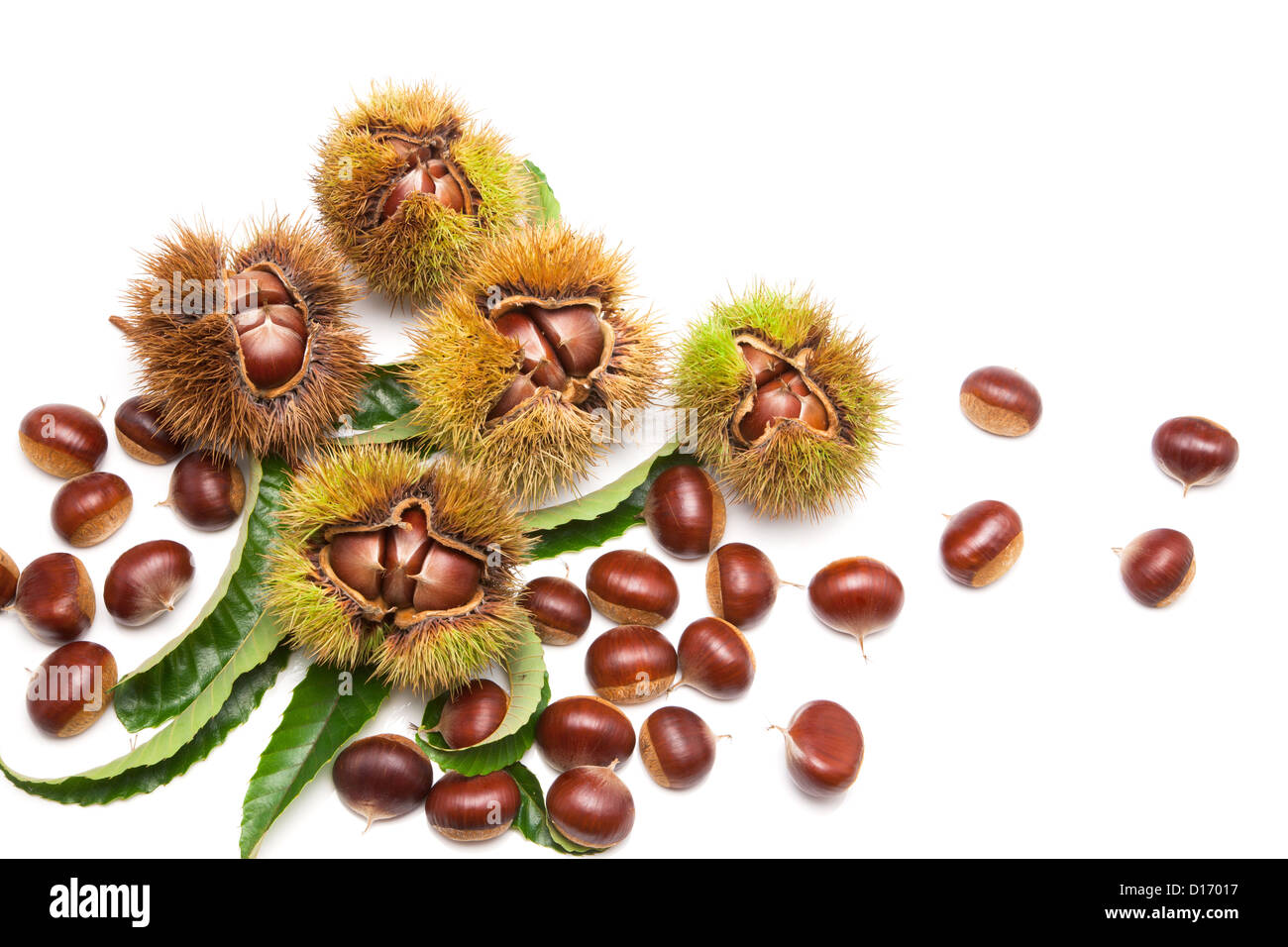 Chestnuts and leaves against white background Stock Photo