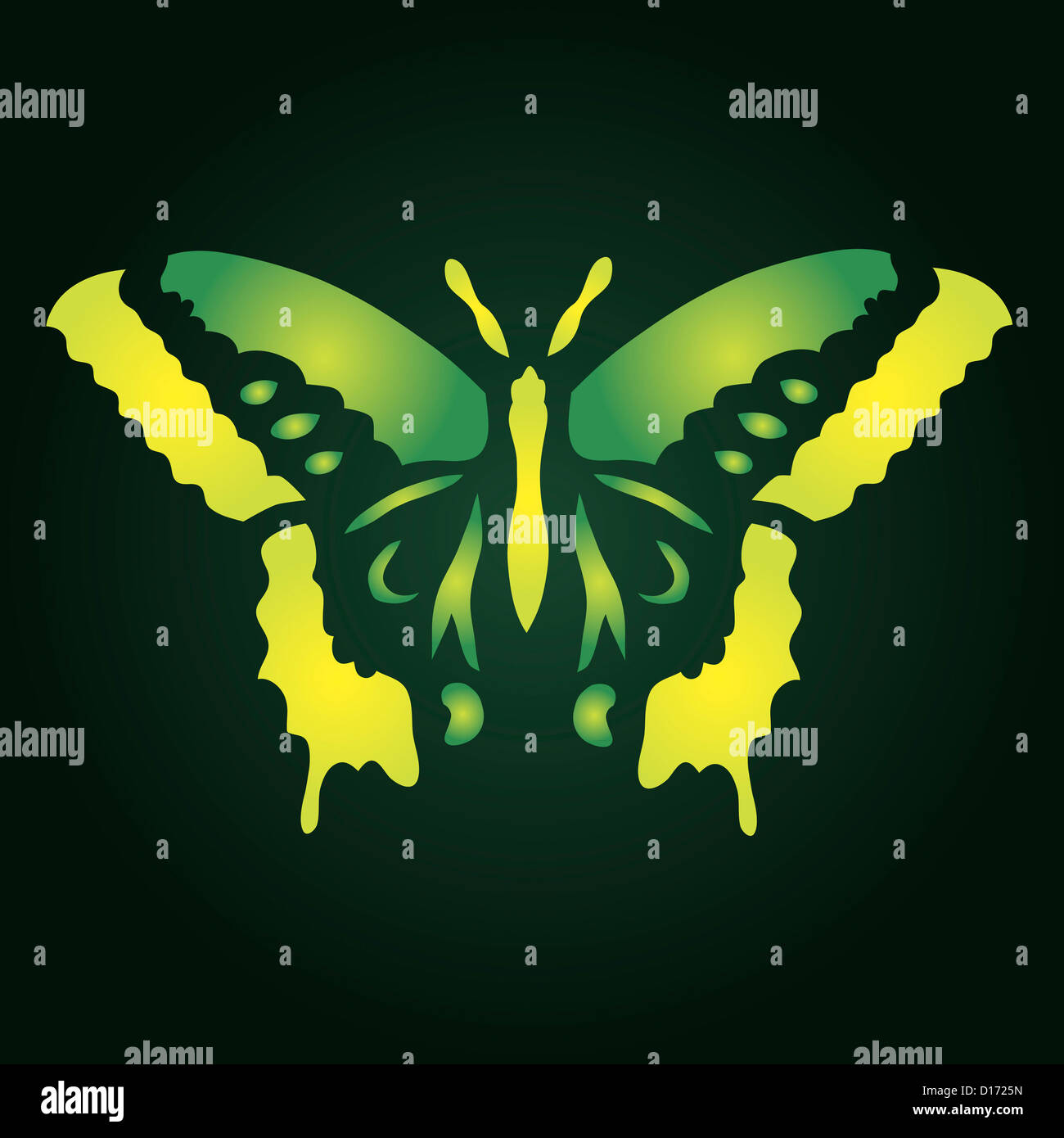 colorful butterfly vector illustration for your design Stock Photo - Alamy