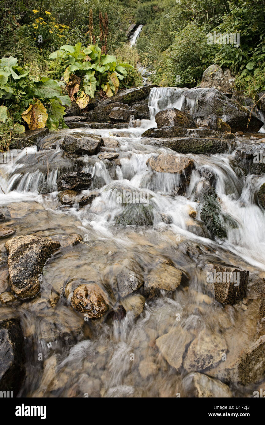 Cascading waterfall of a mountain stream in the Carpathians 4709528 Stock  Photo at Vecteezy