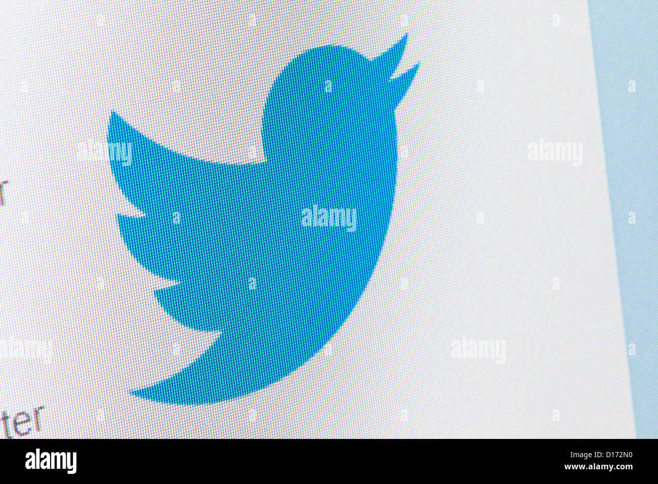 pink twitter logo