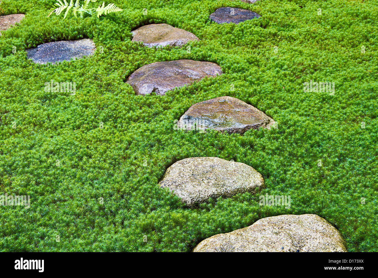 Japanese garden stepping stones hi-res stock photography and images - Alamy