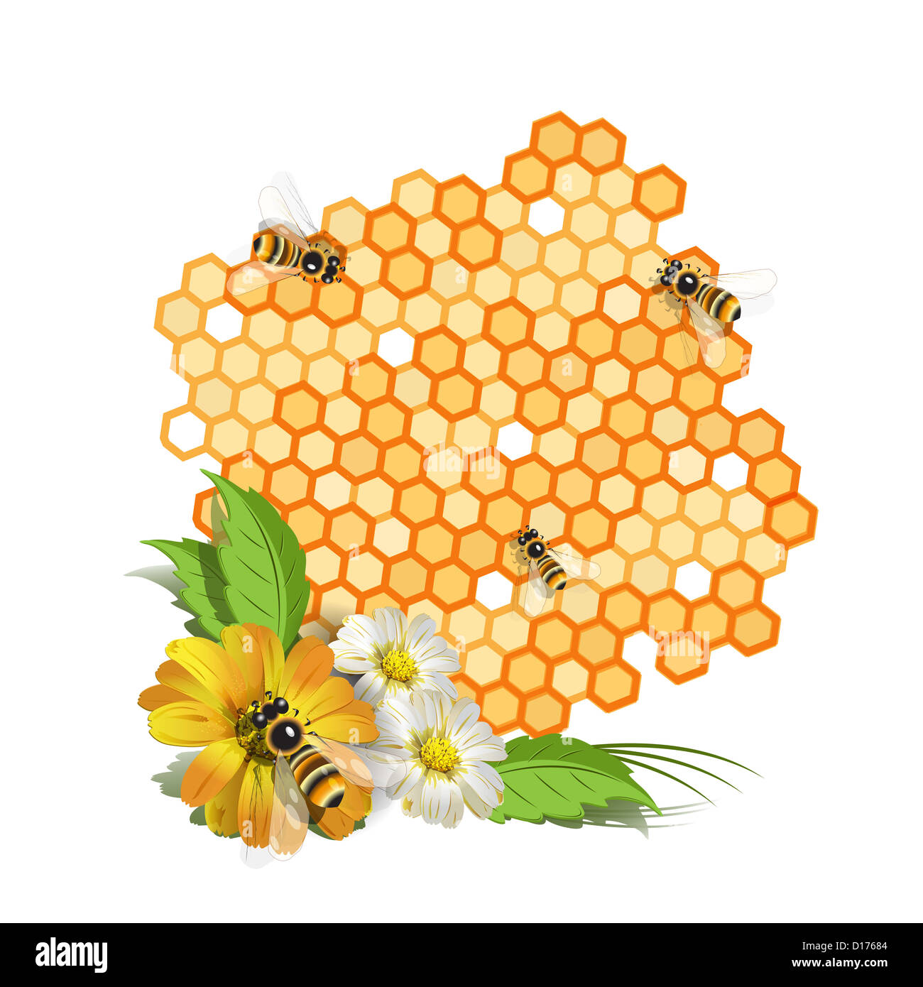 Illustration, bee on flower and honeycomb with honey Stock Photo - Alamy