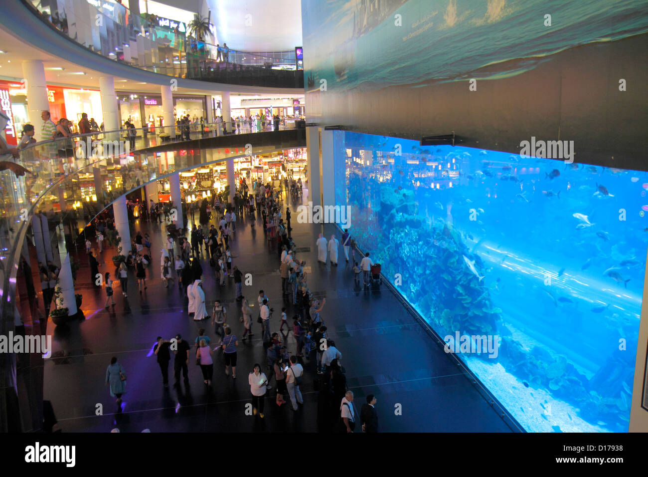 Dubai UAE,United Arab Emirates,Downtown Dubai,Burj Dubai,Dubai mall,Dubai Aquarium,Underwater Zoo,tank,fish,levels,UAE121011125 Stock Photo