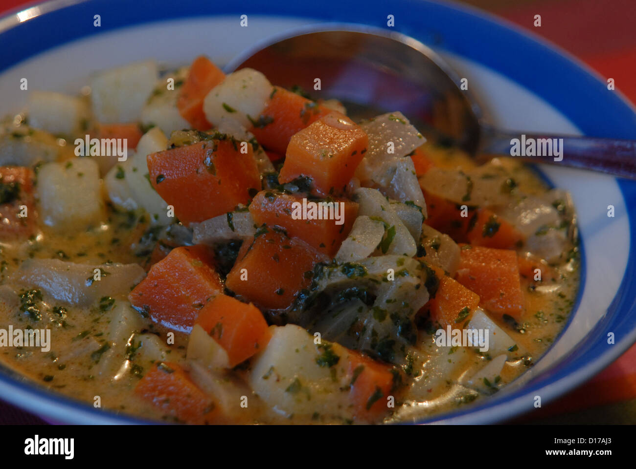 Vegetable soup. Stock Photo