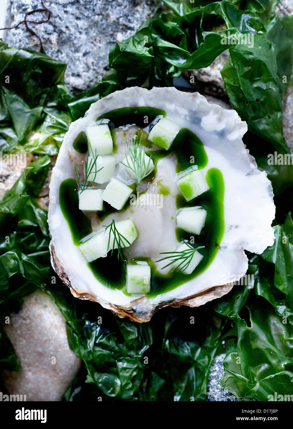 Oyster with herbs and sauce Stock Photo