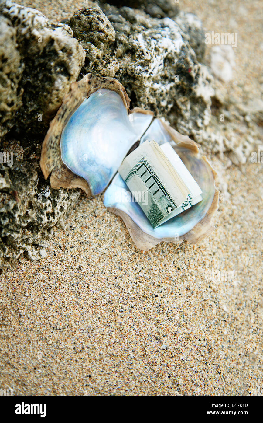 Hawaii, Polished Oyster Shell Laying In The Sand With A Hundred Dollar