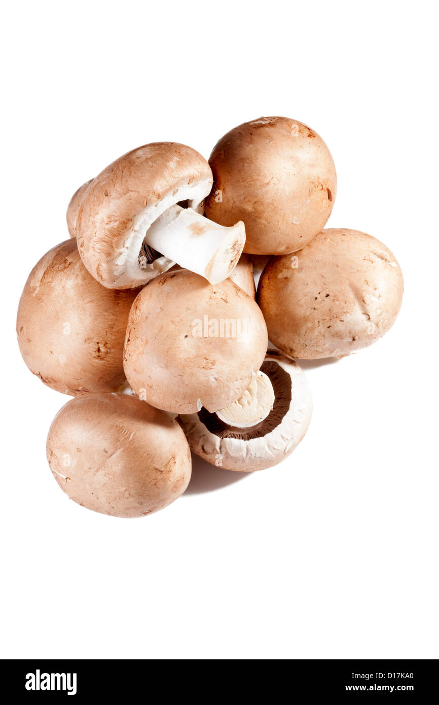 brown mushrooms Stock Photo