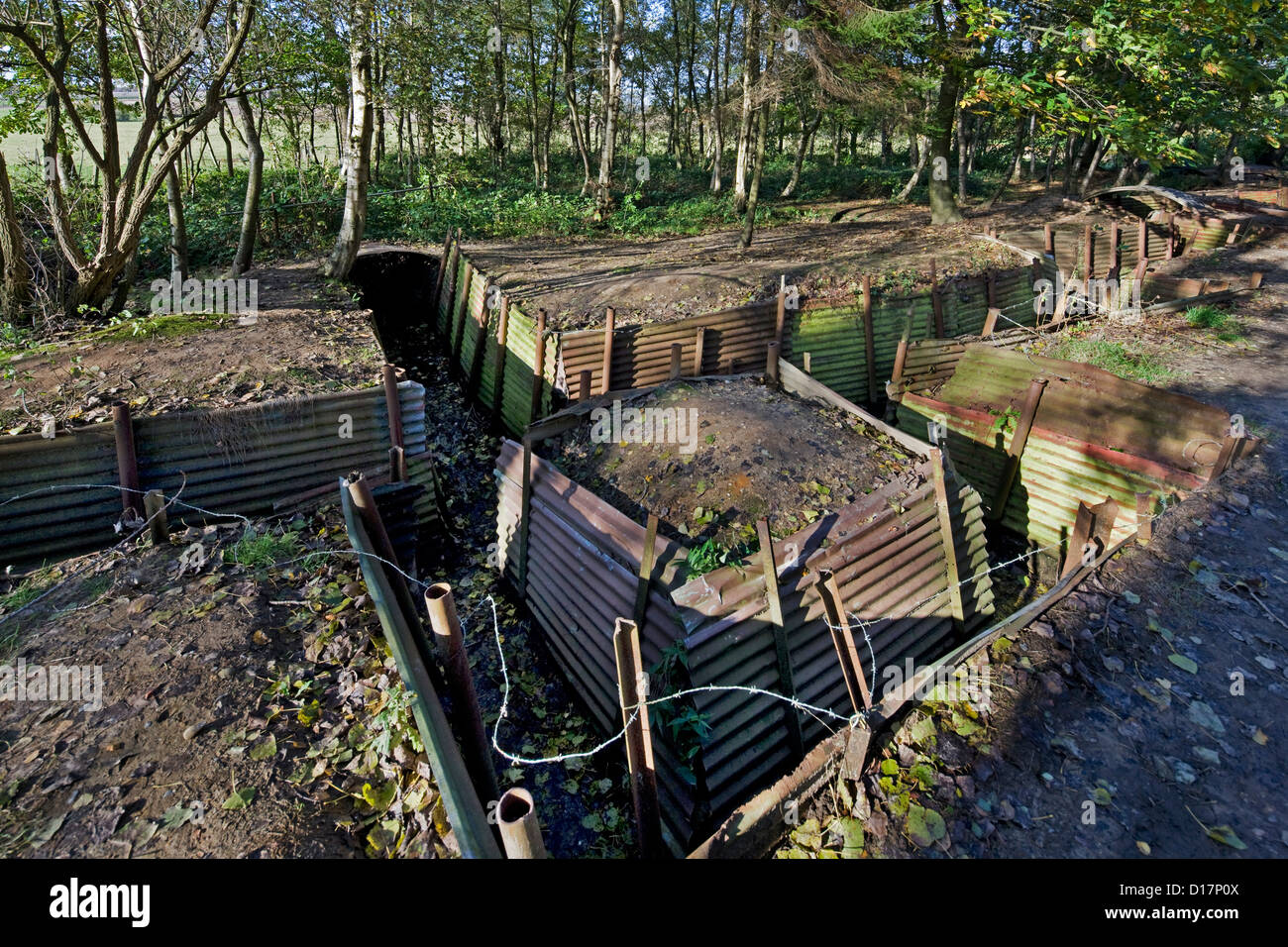 WW1 trenches from First World War One frontline at the Sanctuary Wood Museum Hill 62 at Zillebeke, West Flanders, Belgium Stock Photo
