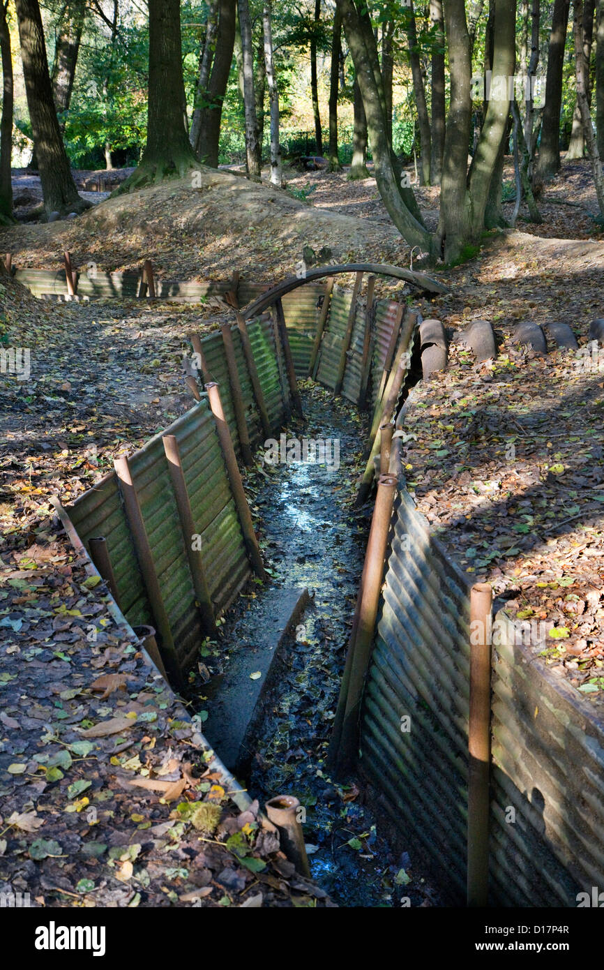 WW1 trenches from First World War One frontline at the Sanctuary Wood Museum Hill 62 at Zillebeke, West Flanders, Belgium Stock Photo