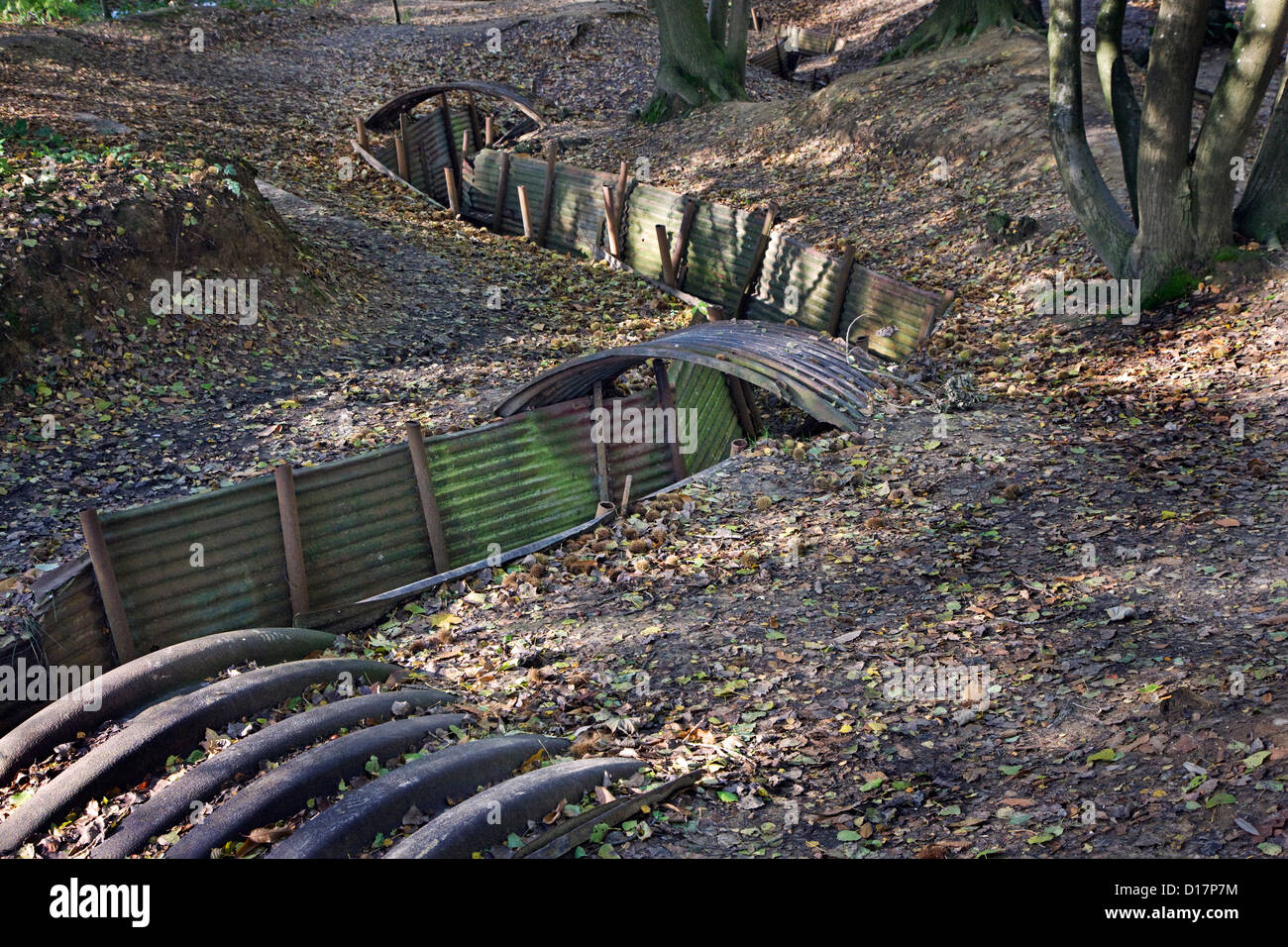 WW1 trenches from First World War One frontline at the Sanctuary Wood Museum Hill 62 at Zillebeke, West Flanders, Belgium Stock Photo