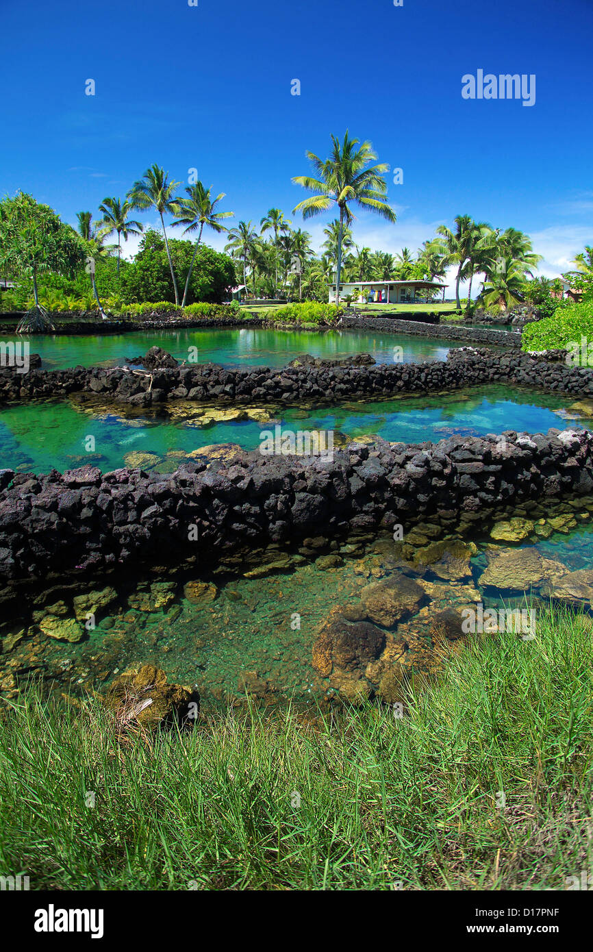 Hawaii, Big Island, Puna, Kapoho Fish Pond Stock Photo Alamy