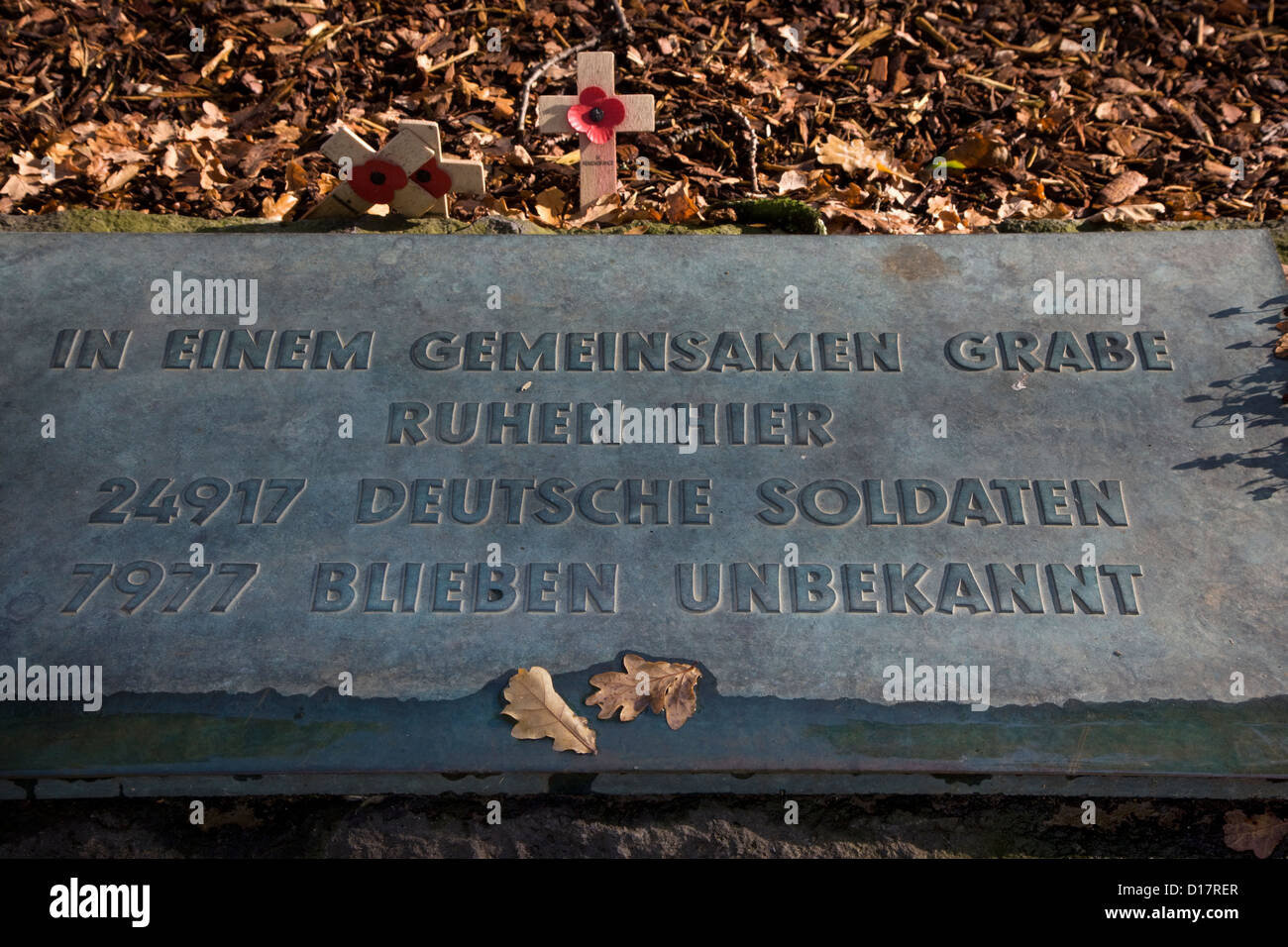The WW1 Soldatenfriedhof / Studentenfriedhof, German First World War One cemetery of Langemark, West Flanders, Belgium Stock Photo