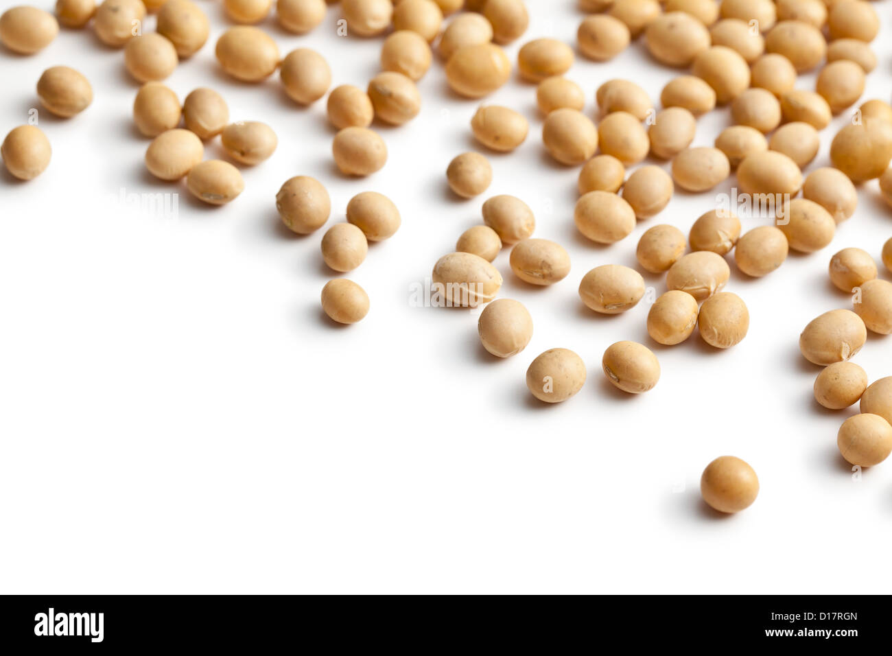 Soya bean plant hi-res stock photography and images - Alamy