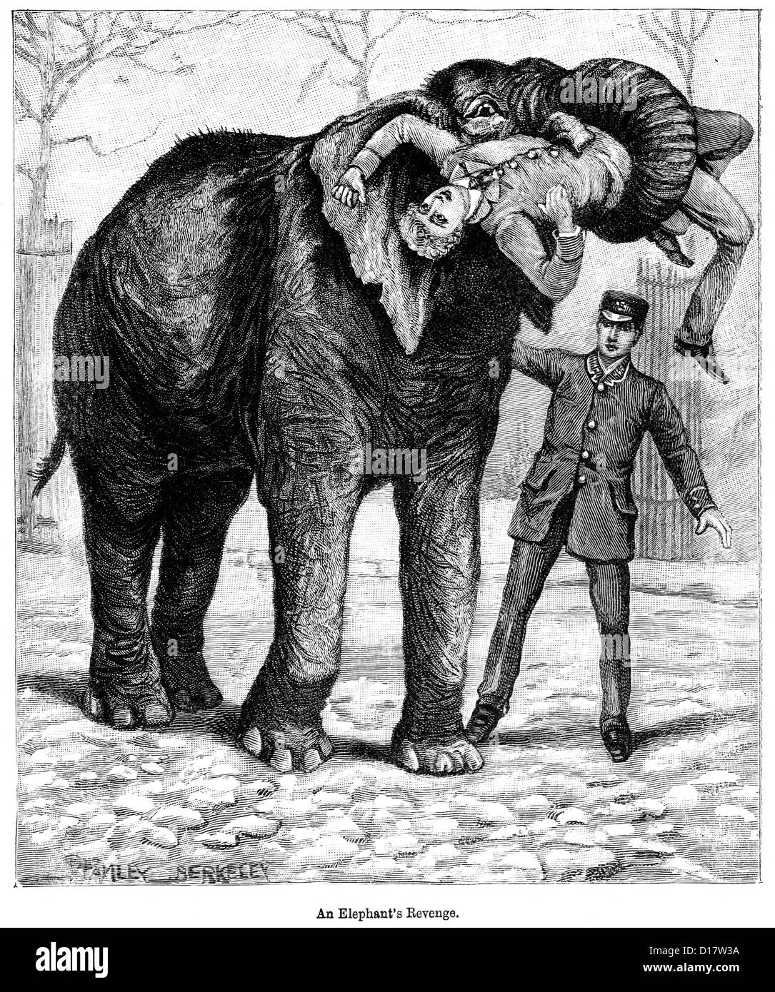 Victorian engraving of elephant attacking a zoo keeper, 1897 Stock Photo