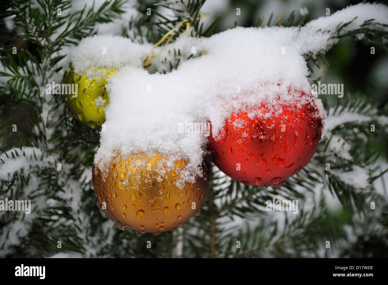 Weihnachtsdekoration • Landkreis Schwaebisch Hall, Baden-Wuerttemberg, Deutschland, Germany Stock Photo