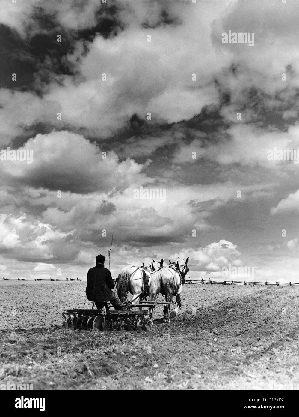 Farmer using a disc harrow, Norfork, New York Stock Photo Alamy