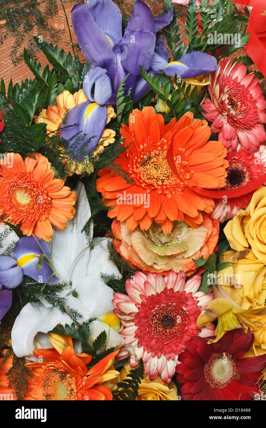 Bouquet wild flowers isolated hi-res stock photography and images - Alamy
