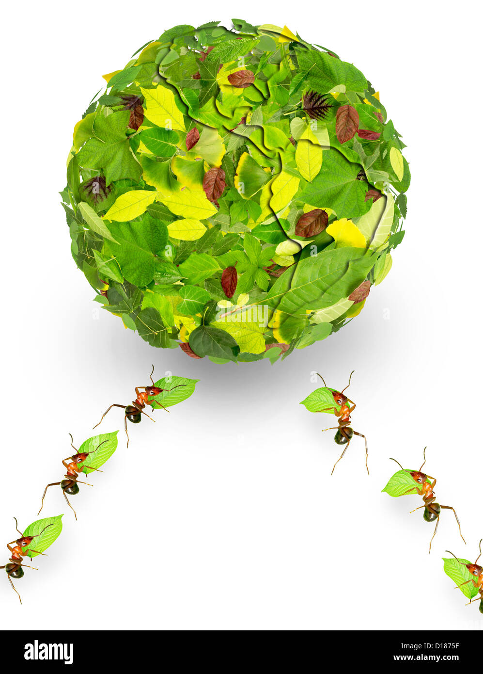 Ants use leaves a earth Stock Photo