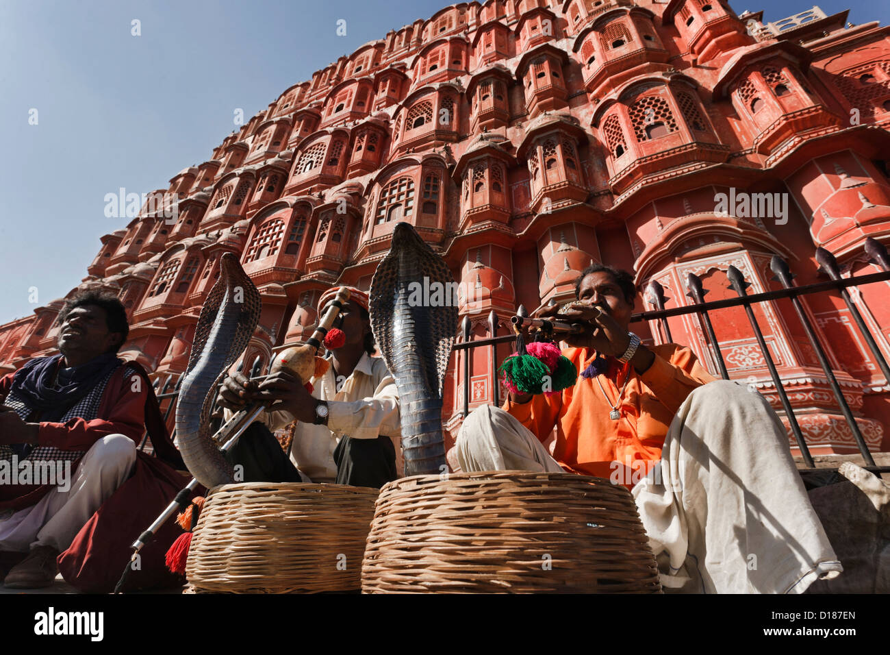 India. Rajasthan, Jaipur, snake charmers make two king cobras (Ophiophagus hannah) dance in front of the Winds Palace Stock Photo