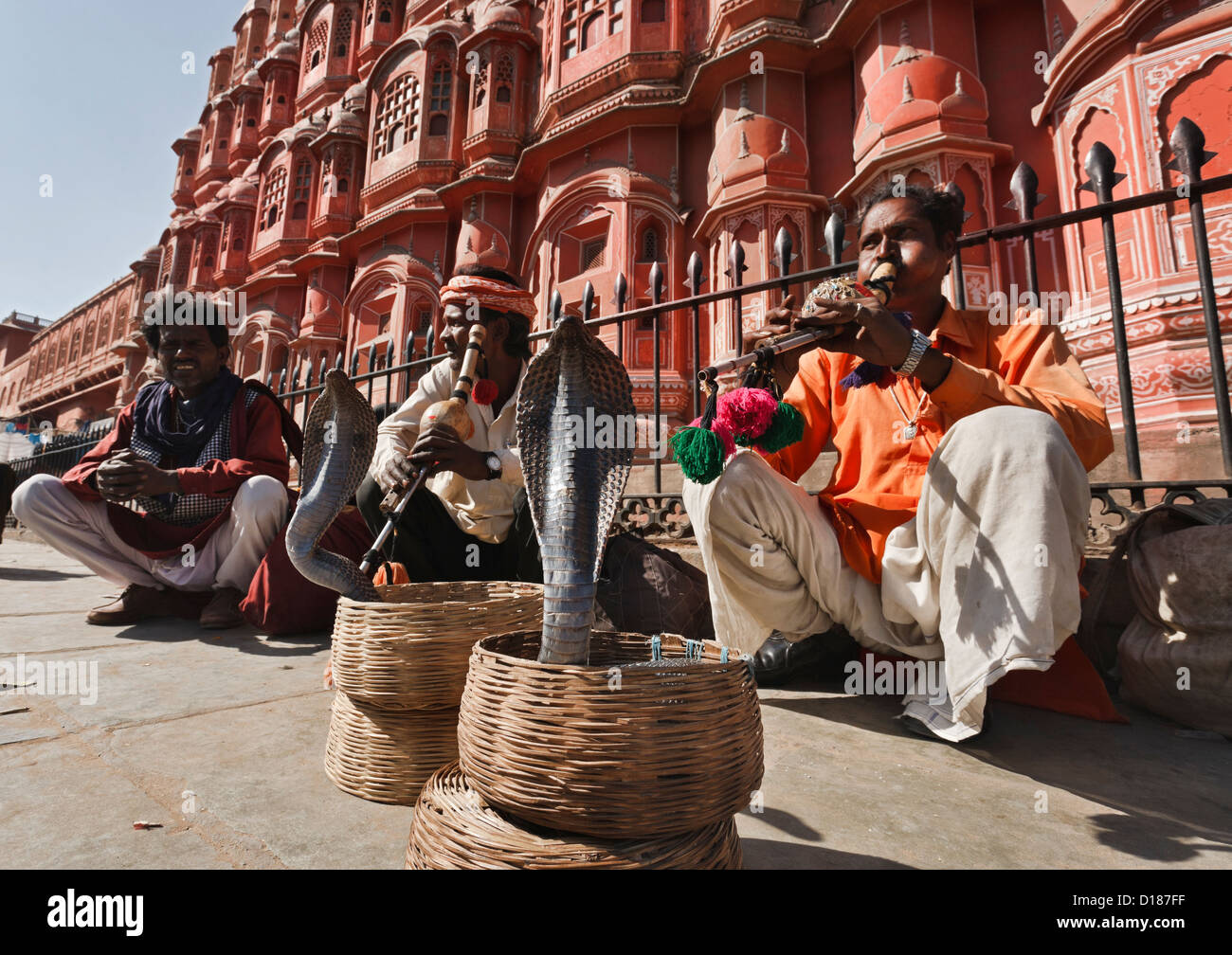 India. Rajasthan, Jaipur, snake charmers make two king cobras (Ophiophagus hannah) dance in front of the Winds Palace Stock Photo