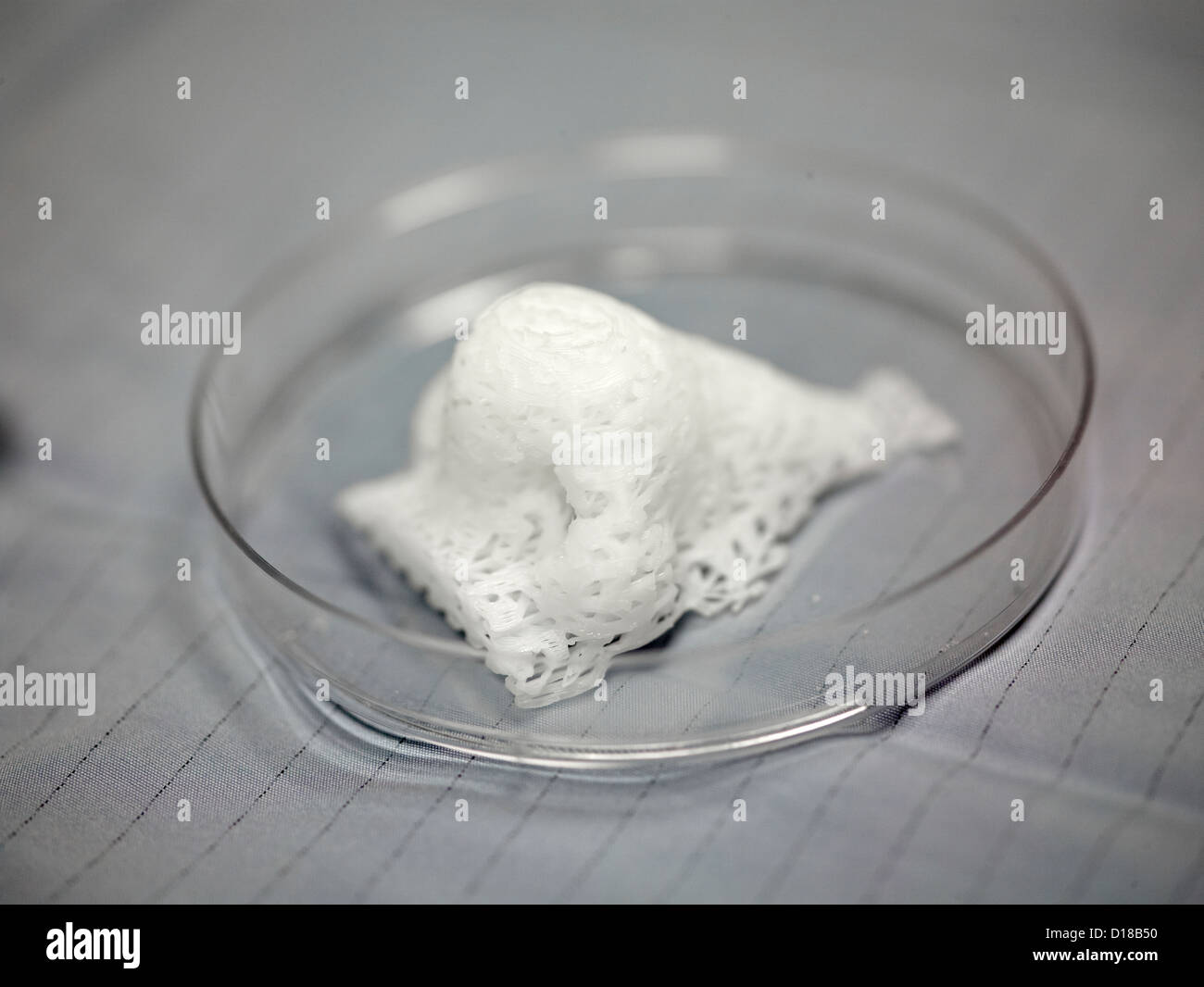 A synthetically produced human replacement nose created by Dr. Atala Stock Photo
