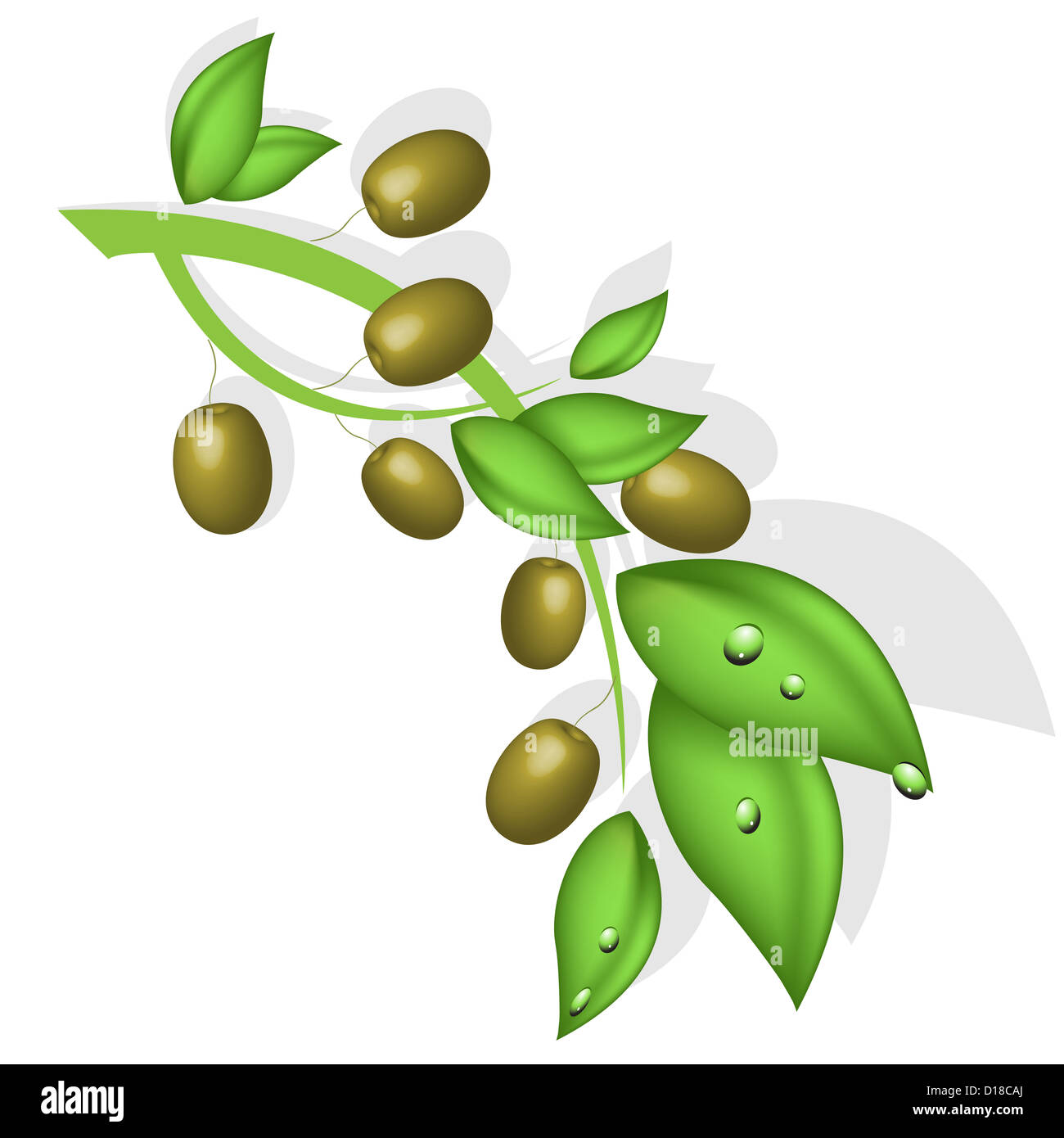 Olive Branch Illustration High Resolution Stock Photography and Images Alamy