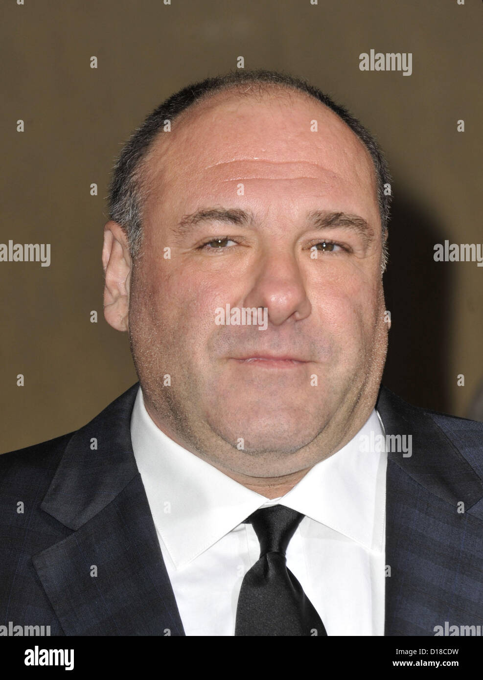 Dec. 10, 2012 Los Angeles, California, U.S. James Gandolfini