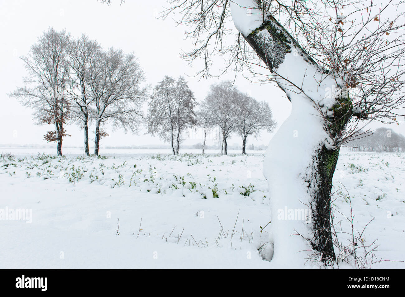winter landscape, niedersachsen, germany Stock Photo