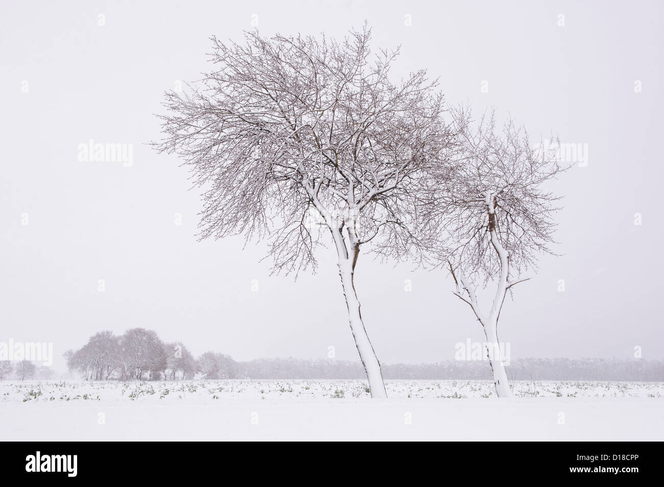 winter landscape, niedersachsen, germany Stock Photo