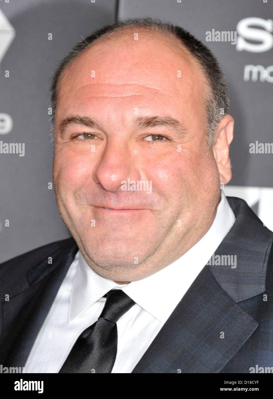 James Gandolfini at arrivals for ZERO DARK THIRTY Premiere, The Dolby