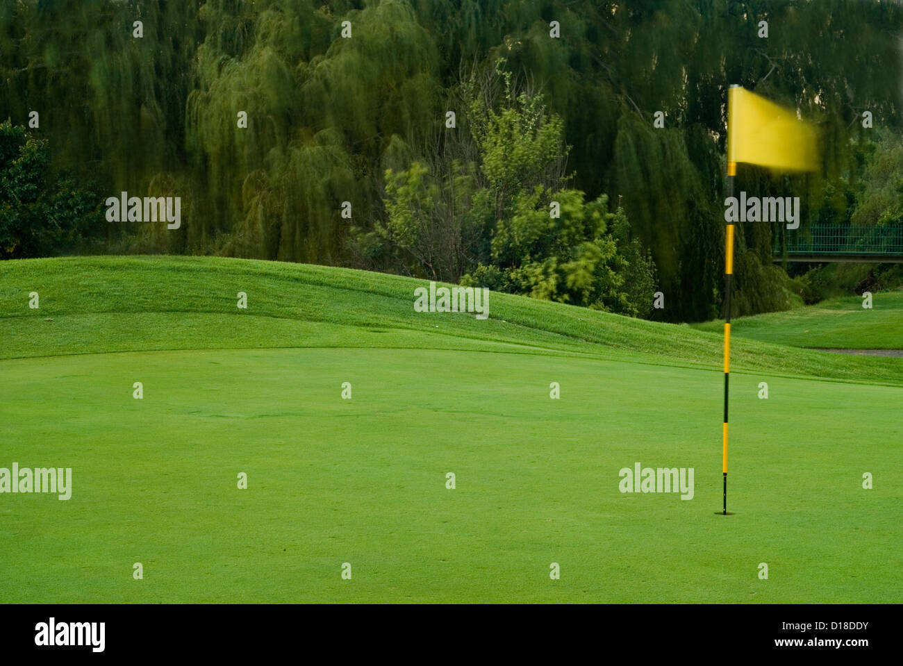 Wind or windy golf green with yellow flying flag and motion blur trees ...