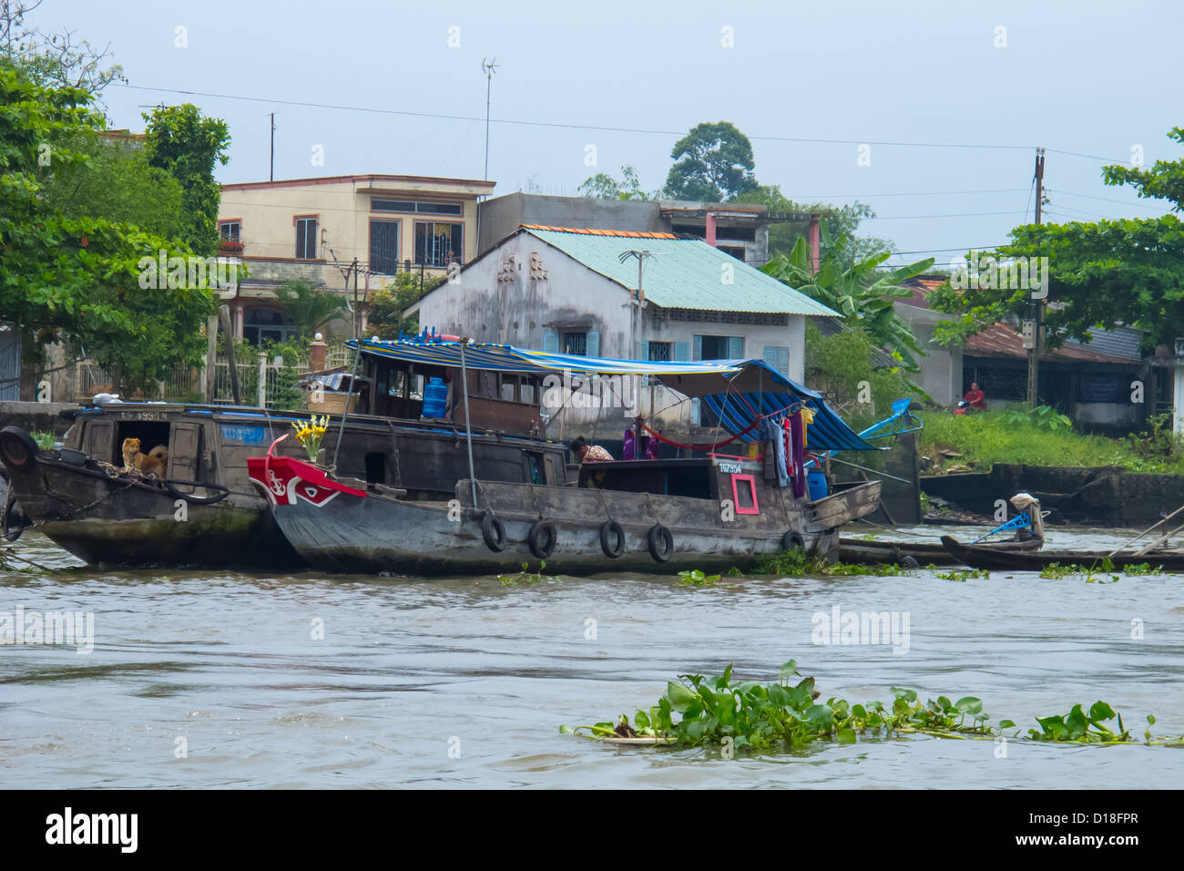 Life along the Mekong Delta at the floating market of Cai Be in Vietnam 