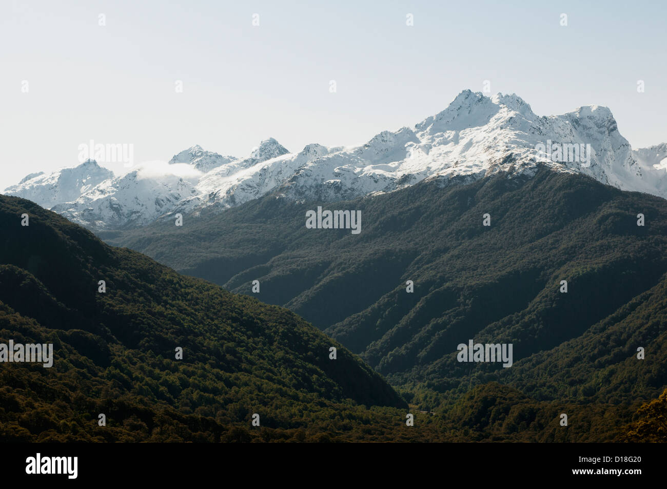 Forests on snowy mountains Stock Photo