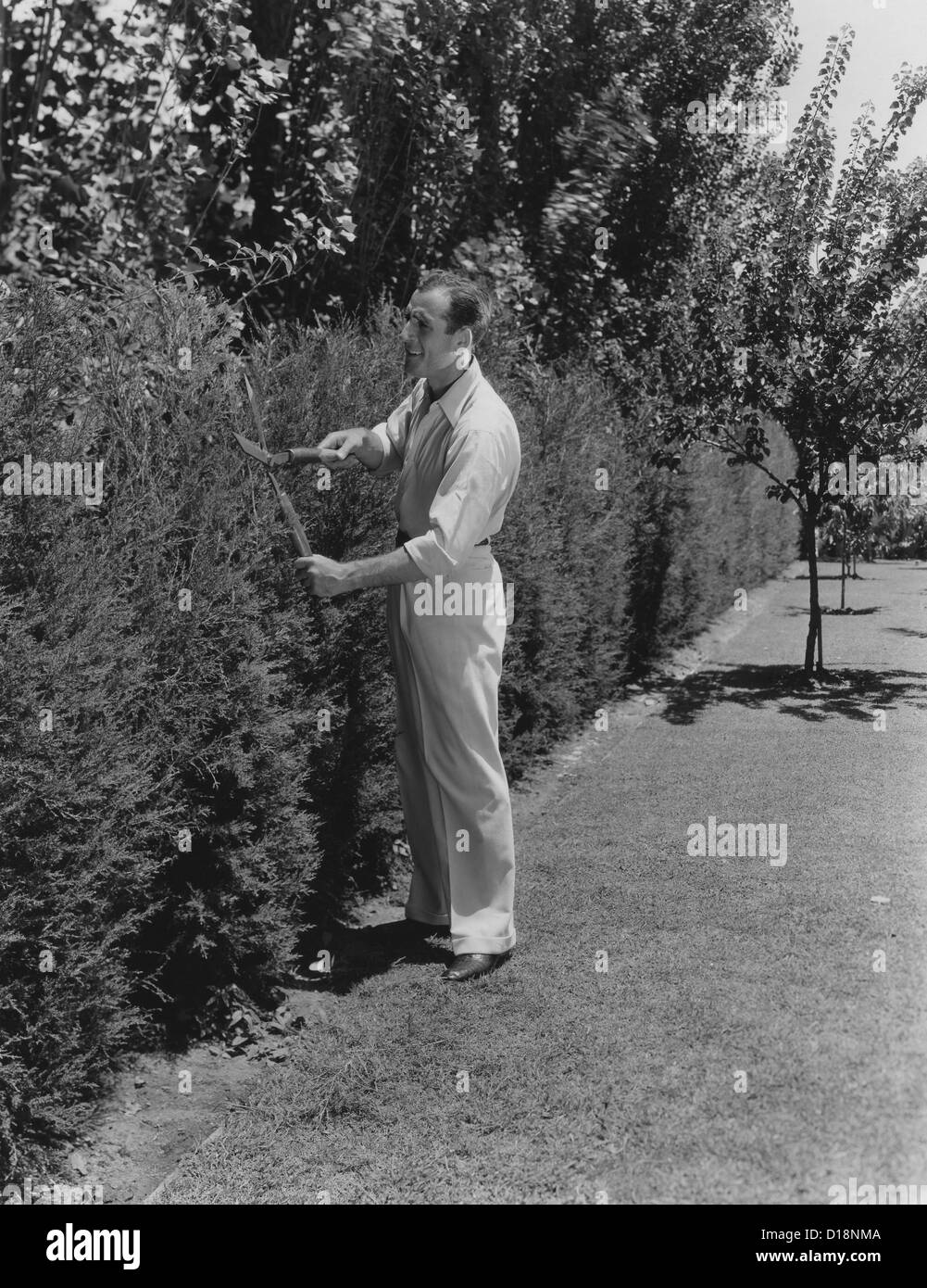 Gardner prunes bushes Stock Photo