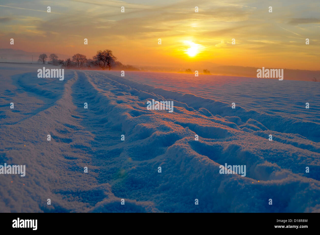 Sunrise with snow at Maulbronn, morning mood, fog with snow, dirt road