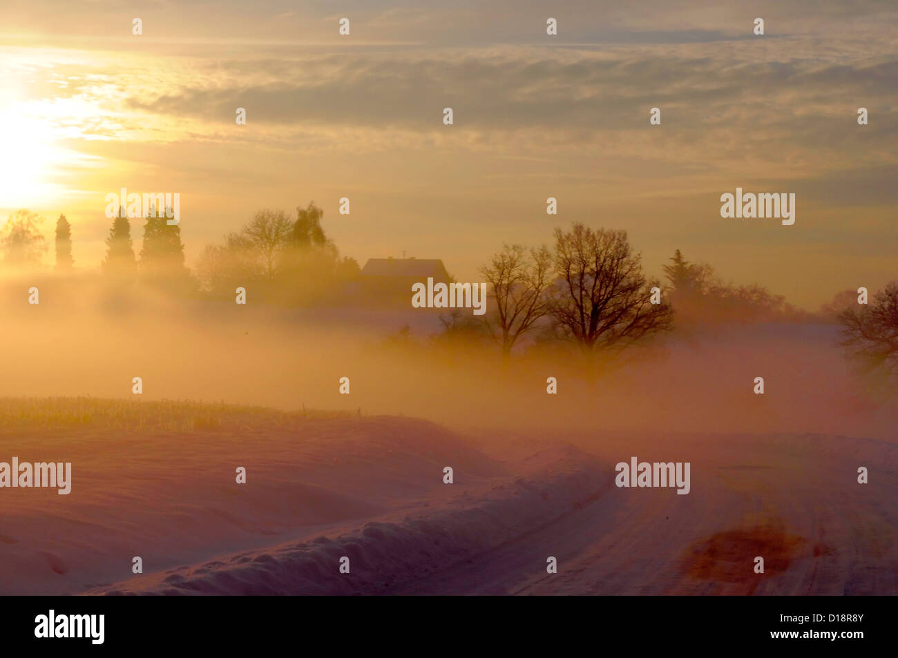 Sunrise with snow at Maulbronn, morning mood, fog with snow, dirt road