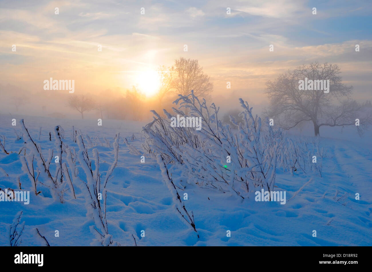 Sunrise with snow at Maulbronn, morning mood, fog with snow, dirt road with snow, sun with rays, snow, landscape, Stock Photo